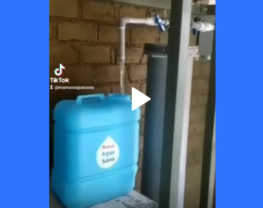 planta de agua